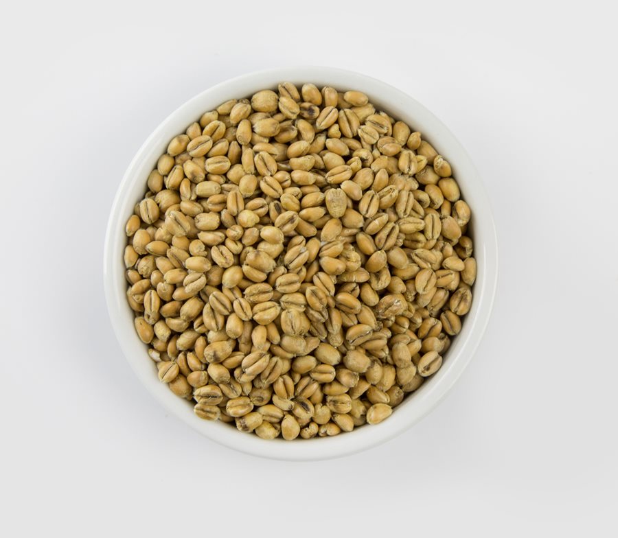 חיטה טוריפייד 100 גרם