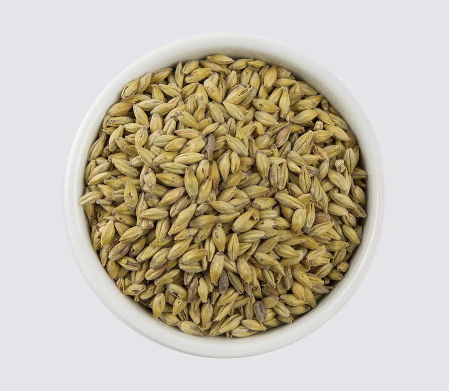 לתת אמבר 100 גרם