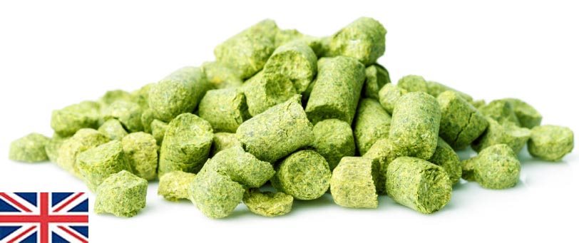 כשות קנט גולדינגס - EKG EAST KENT GOLDINGS - אריזה לבחירה 30 גרם ב8 שח/רבע קג ב50 שח